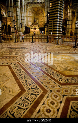 La sezione del vasto e favoloso pavimento in marmo o pavimentazione del Duomo di Siena Toscana Italia Foto Stock