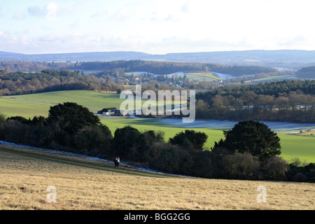 La vista da Albury giù vicino a Newlands Corner appena fuori la A25 tra Guildford e Dorking Surrey in Inghilterra REGNO UNITO Foto Stock