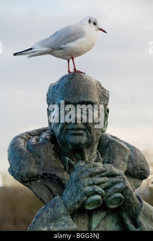 Un nero intitolata gabbiano in inverno piumaggio, appollaiate su la scultura di Sir Peter Scott all'Slimbridge Wildfowl Trust HQ Foto Stock