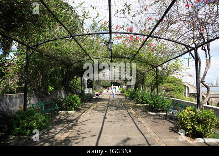 Paseo General Esteban Huertas, Casco Viejo, San Felipe distretto, Panama City, Panama America Centrale Foto Stock