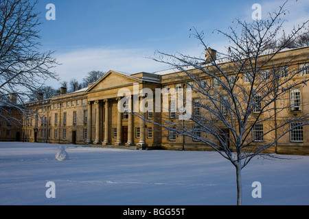 neve sulla terra Foto Stock