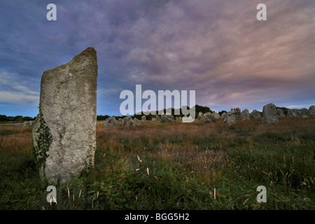 Il neolitico menhir / pietre permanente al tramonto a Carnac, Brittany, Francia Foto Stock