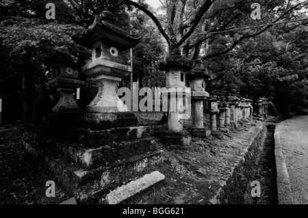 Giapponese lanterne di pietra che conduce al santuario principale. Di Kasuga Taisha (aka il Santuario Kasuga). Nara City. Prefettura di Nara. Giappone Foto Stock