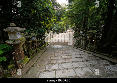 Giapponese lanterne di pietra che conduce al santuario principale. Di Kasuga Taisha (aka il Santuario Kasuga). Nara City. Prefettura di Nara. Giappone Foto Stock