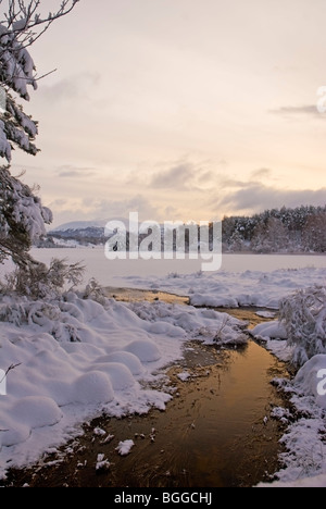 Congelati, coperta di neve Loch Pityoulish, Speyside, Scozia Foto Stock