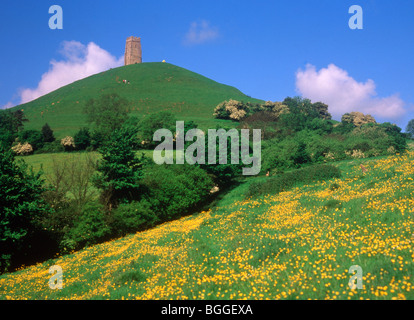 Inghilterra Somerset Glastonbury Tor Foto Stock