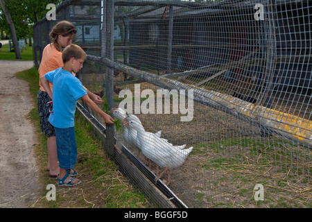 Bambini alimentazione di polli al mennonita Heritage Village in Steinbach,Manitoba;Canada,l'America del Nord Foto Stock