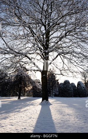 Neve invernale scena Chester Foto Stock