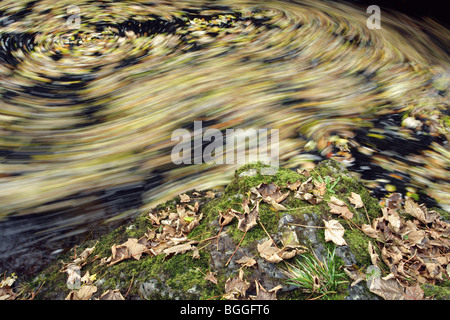 Le foglie autunnali girano nella corrente di un fiume, Scozia, Regno Unito Foto Stock