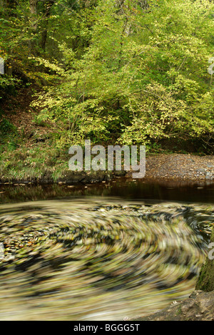 Le foglie autunnali girano nella corrente di un fiume, Scozia, Regno Unito Foto Stock