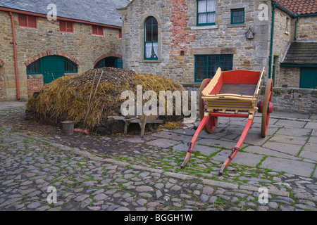 Beamish Open Air Museum, la Home Farm, 1913, Durham, Inghilterra, Ottobre 2009 Foto Stock