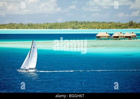Barca a vela sul mare del pacifico, Bora Bora, Polinesia Francese Foto Stock