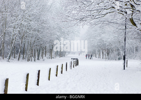 Alexandra Palace di Londra, Inghilterra, 6 Gennaio 2010:neve pesante. Foto Stock