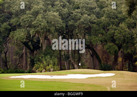 Campo da golf - Jekyll Island, Georgia USA Foto Stock