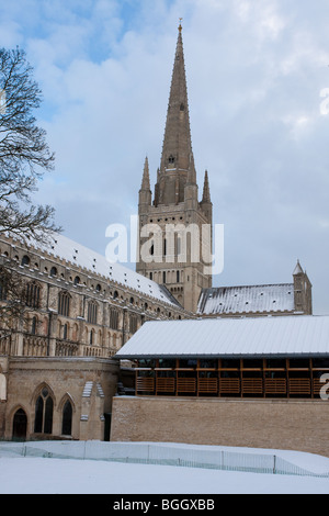 Norwich Cathedral in Norfolk dopo il record UK nevicata dei primi di gennaio 2010. Foto Stock