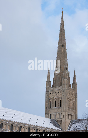 Norwich Cathedral in Norfolk dopo il record UK nevicata dei primi di gennaio 2010. Foto Stock