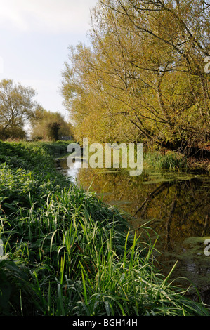 Somerset livelli in autunno vicino a Highbridge sul fiume Parrett nuovi membri trail Foto Stock