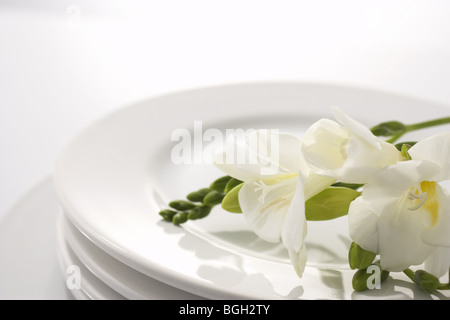 Fiori bianchi su una piastra Foto Stock