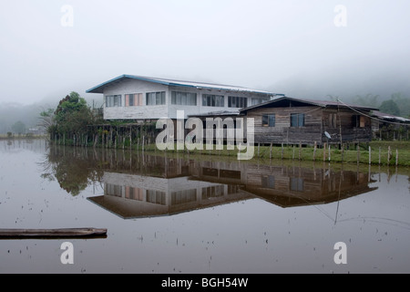 Una grande casa colonica in legno tra risaie è avvolta nella nebbia in Pa Lungan villaggio nel Kelabit Highlands nell isola del Borneo. Foto Stock