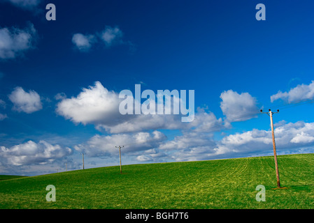 Una collina scozzese con pali telefonici su una giornata d'estate con il blu del cielo e le soffici nuvole Foto Stock