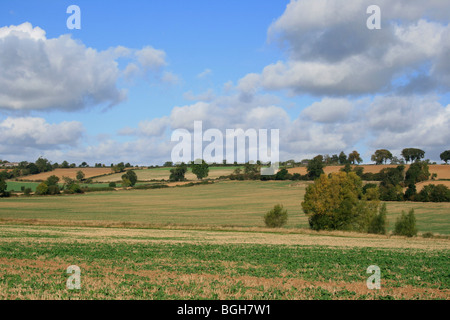 Campagna vicino ala, Leicestershire Foto Stock