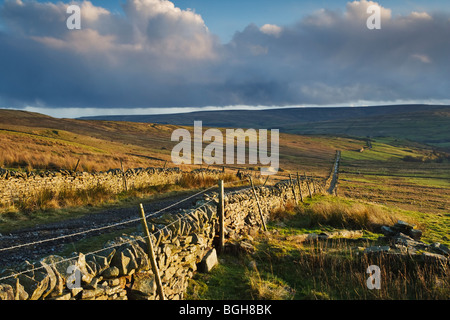 Agriturismo La via che conduce a Middleton Moor vicino a Westgate nella valle di usura, Weardale, County Durham Foto Stock