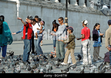 Alimentazione turistico piccioni selvatici Columba livia appena fuori Trafalgar Square Londra Inghilterra REGNO UNITO Foto Stock