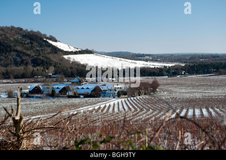 Vista verso la fattoria di Bradley e Box Hill con il vigneto nella neve in una limpida giornata invernale e Foto Stock