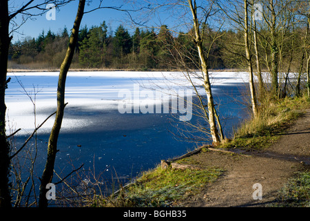 Congelati pysgodlyn mawr lago hensol forest Vale of Glamorgan Galles del Sud Foto Stock