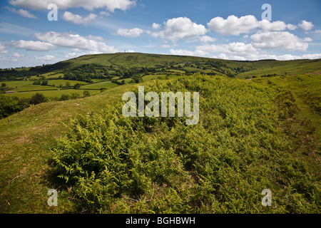 Vista dalla Banca Nordy Hill Fort ad Abdon Burf, Marrone Clee Hill, Shropshire Foto Stock