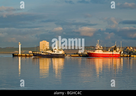 Kirkwall porto sul Orkney continentale, regione delle Highlands Scozzesi. SCO 5808 Foto Stock