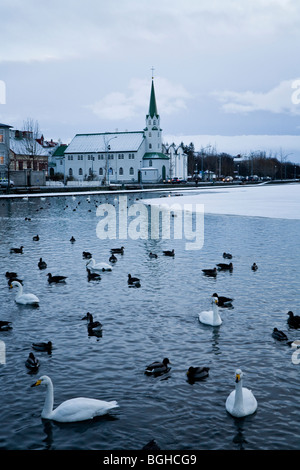 "Tjornin lago' e 'Frikirkjan' chiesa. Il centro di Reykjavik, Islanda. Foto Stock