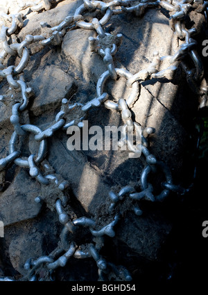 Spike le catene sul Trincia forestale pneumatico Foto Stock