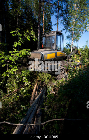 Giallo Ponsse Ergo Trincia forestale al sito di abbattimento nella foresta finlandese , Finlandia Foto Stock
