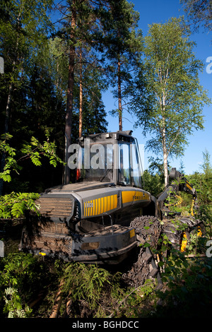 La raccoglitrice forestale gialla Ponsse Ergo nel sito di abbattimento nella foresta , Finlandia Foto Stock