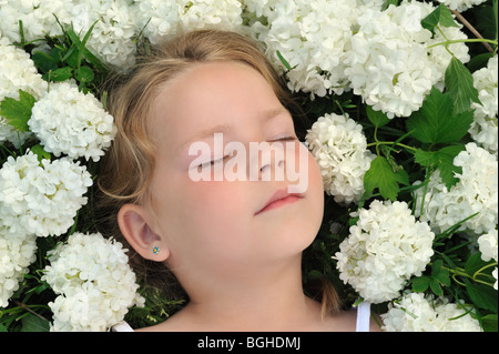 Bambina posa in fiori - snowball Foto Stock