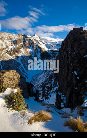 Il Monte Ruapehu, Tongariro National Park, North Island, Nuova Zelanda Foto Stock