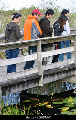 Parco nazionale delle Everglades, Florida, Stati Uniti d'America Foto Stock