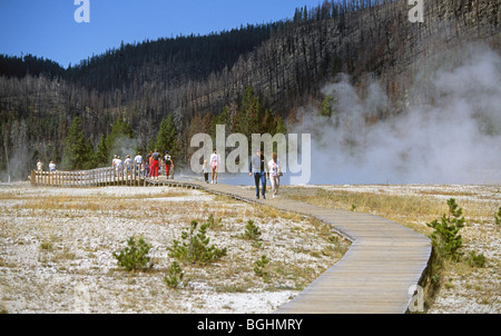 La zona bruciata da Yellowstone gli incendi boschivi del 1988 vicino a un geyser basin vicino alla vecchia fedeli, nel Parco Nazionale di Yellowstone Foto Stock