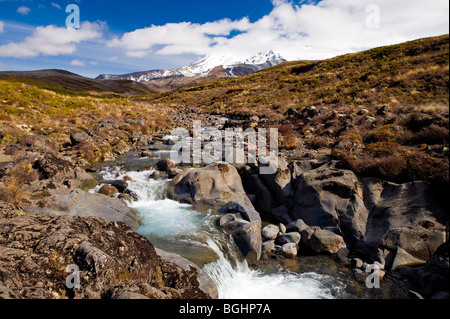 Il Monte Ruapehu, Tongariro National Park, North Island, Nuova Zelanda Foto Stock