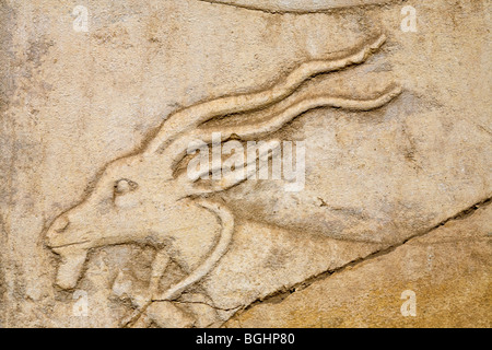 Close up di rilievo scolpite della testa cilindri su un blocco in open-air Museum al Tempio di Karnak e Luxor Egitto Foto Stock