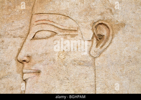 Close up di rilievo scolpite di kings Head su un blocco in open-air Museum al Tempio di Karnak e Luxor Egitto Foto Stock