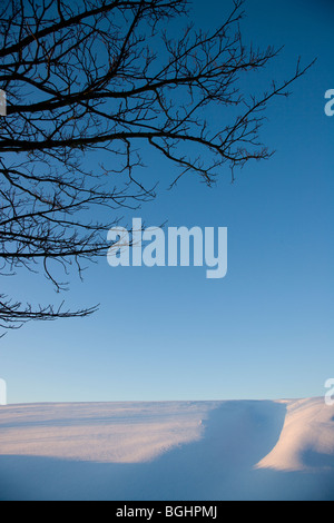 Paesaggio invernale Nidderdale Foto Stock