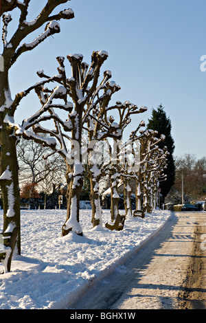 Weald village, Kent, Regno Unito dopo nevicata Foto Stock