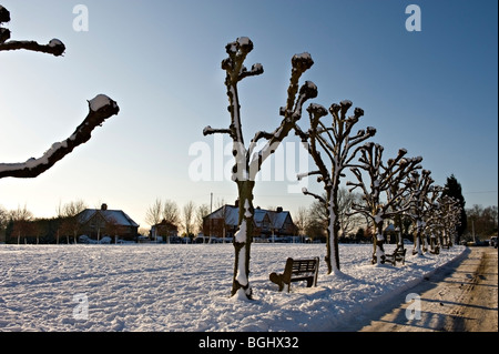 Weald village, Kent, Regno Unito dopo nevicata Foto Stock