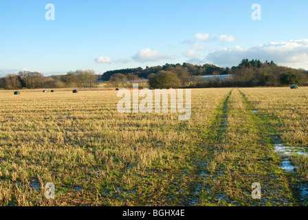 Scena di paesaggio di un campo con rotoli di paglia e piccole quantità di neve sul terreno in Dockenfield, Hampshire Foto Stock