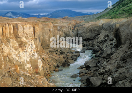 Fiume Lete scolpisce canyon attraverso depositi di cenere in Valle dei Diecimila Fumi, Katmai National Park, Alaska, STATI UNITI D'AMERICA Foto Stock