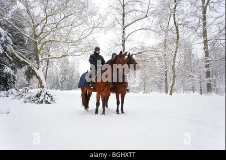 Polizia a cavallo nel parco invernale Foto Stock