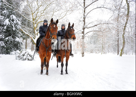 Polizia a cavallo nel parco invernale Foto Stock