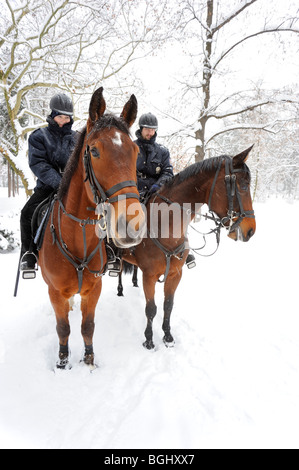 Polizia a cavallo nel parco invernale Foto Stock